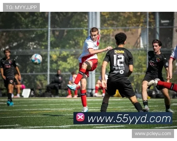 乐鱼体育官方手机版让用户轻松投注,享受多样化体育娱乐互动新体验