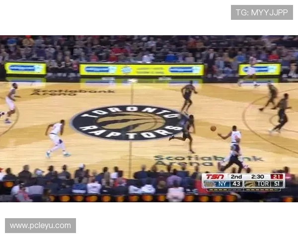 乐鱼体育手机版会员登录成功后可以享受哪些专属权益，全面权益介绍