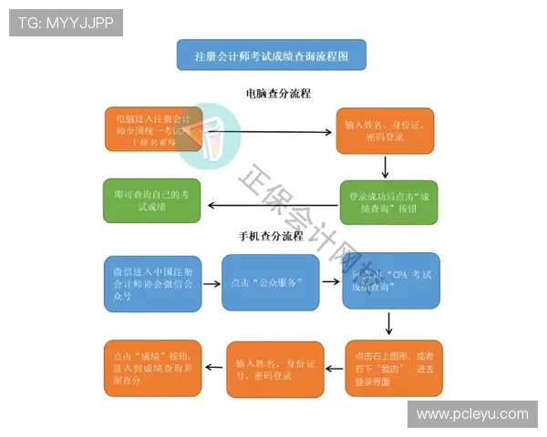 乐鱼平台要个人资料的详细流程和注意事项解析