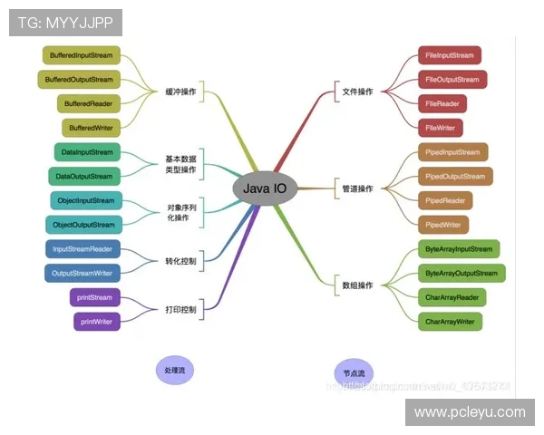 乐鱼怎么玩适合新手的玩法步骤详解及常见问题解决方案