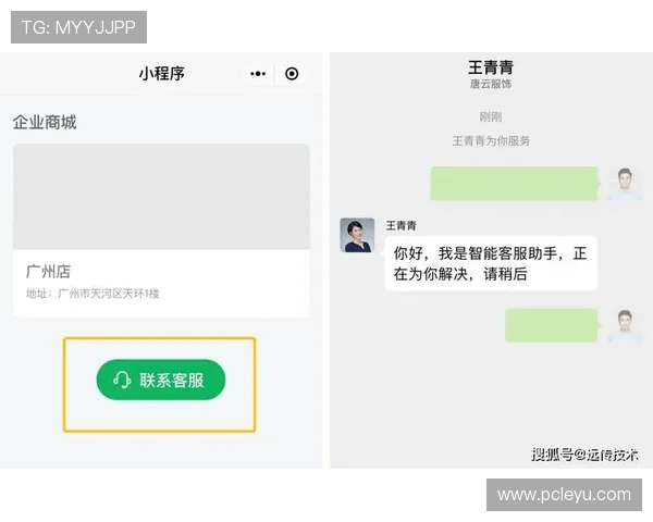 乐鱼电子机器人官网的在线客服与技术咨询渠道