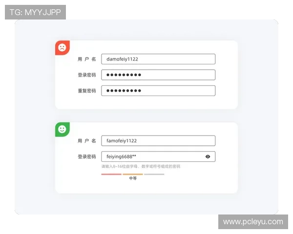 乐鱼在线登陆入口优化升级，提升登录速度和用户体验