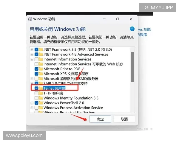 乐鱼在线网页版登录遇到问题怎么办详细教程帮你排查登录失败的原因与解决方法