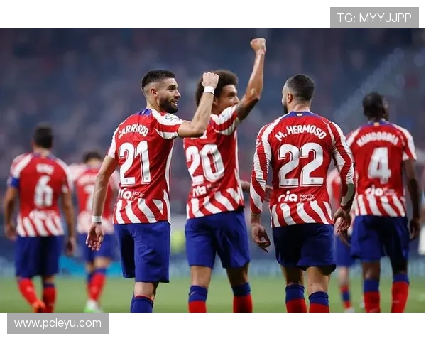 乐鱼平台作为马竞赞助商的合作细节及其对品牌影响力提升的具体表现