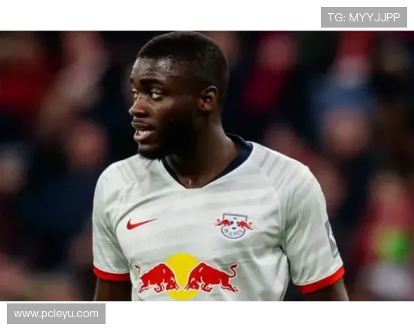 乐鱼平台合作伙伴大巴黎04如何提升用户游戏体验与平台竞争力