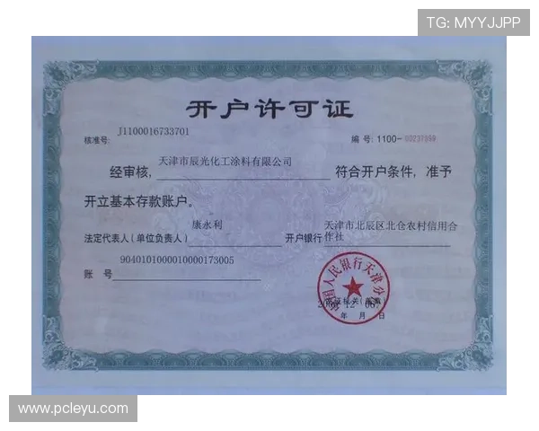 乐鱼账户登录遇到困难时的解决方法快速排障指南
