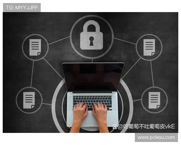 乐鱼在线网页版登录安全保障措施解析确保用户账号信息安全与隐私保护